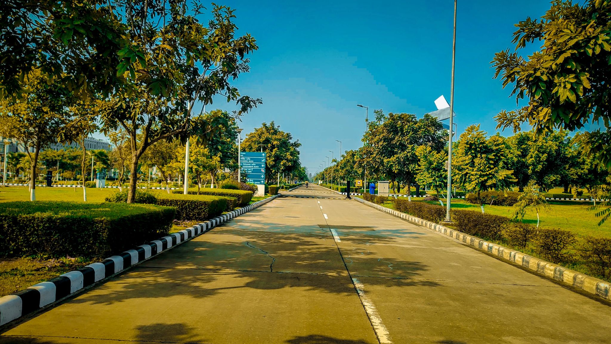 IIT Ropar Robotics & AI Lab
